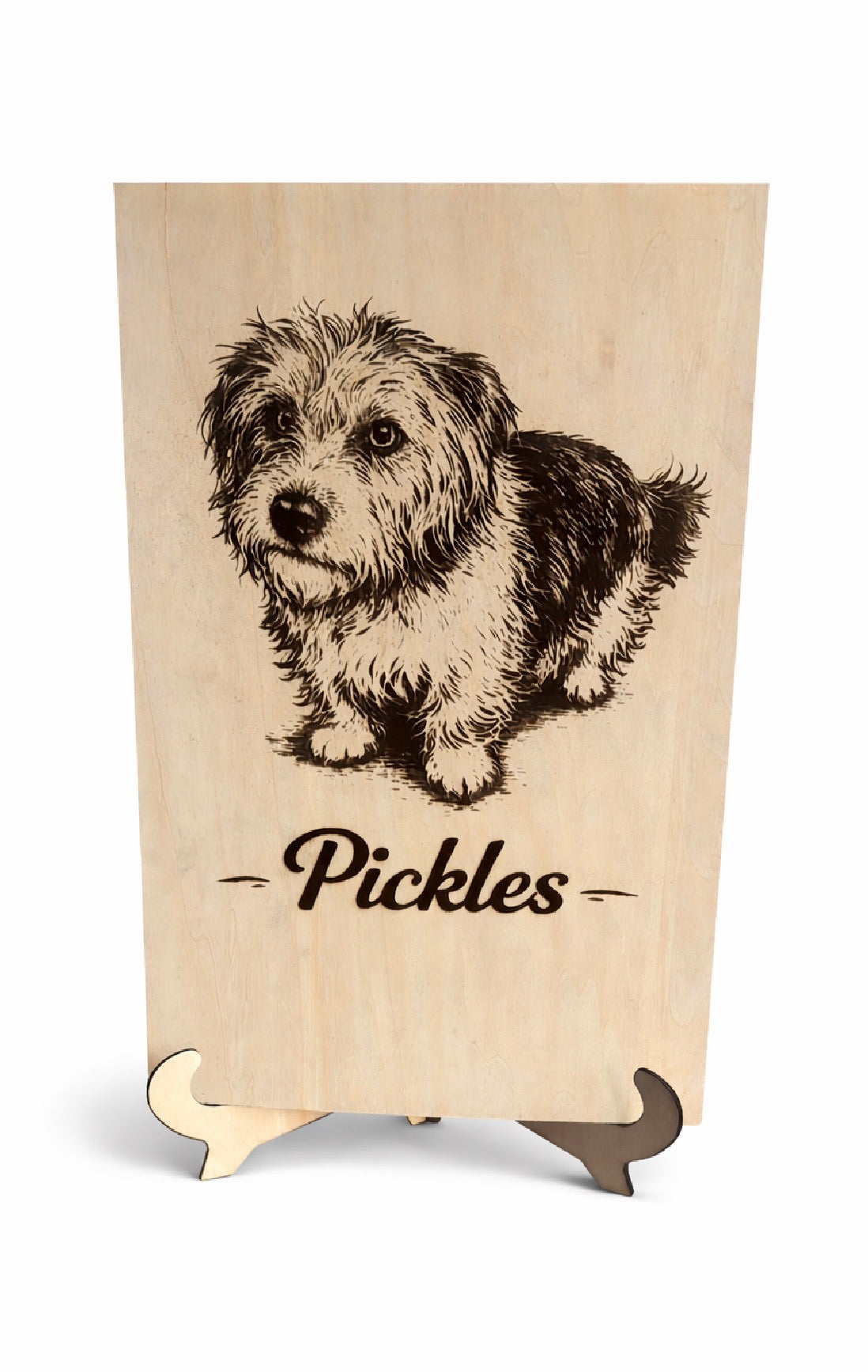 Family pet portraits